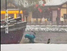 <b>风雪无阻！清明上河园等景区演出照常进行，暖心服务保障游客体验</b>