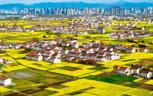 免票+半价+百万消费券！观花季汉中推出系列文旅惠民举措