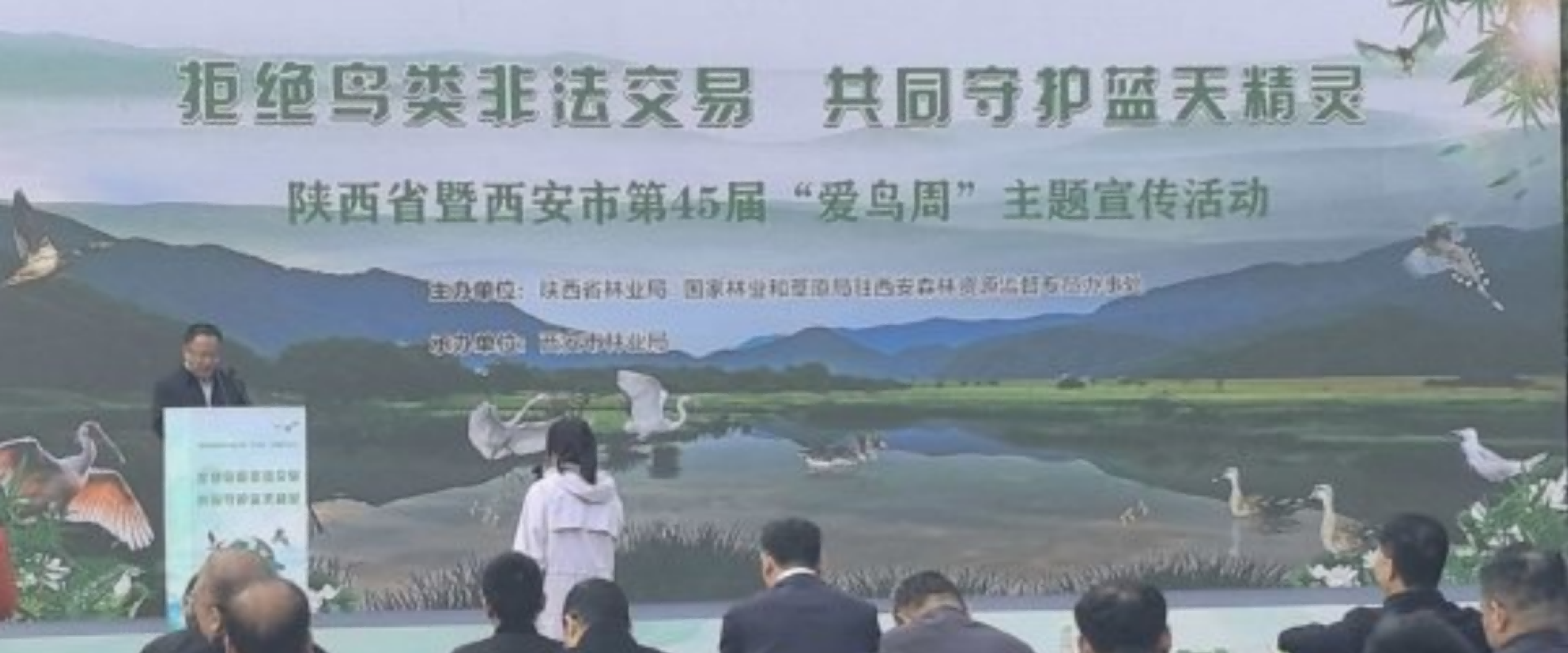 西安第45届“爱鸟周”启动 野生鸟类种类增至467种