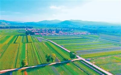 <b>内蒙古喀喇沁旗探索“药材+文旅”融合发展 循着药香去旅游</b>