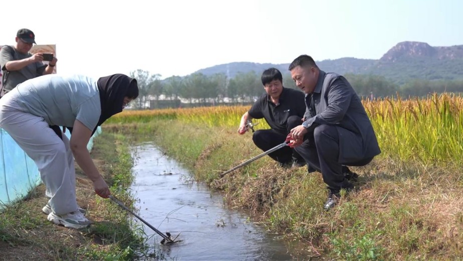 <b>河北秦皇岛：稻蟹飘香迎中秋 丹青绘就丰收美</b>